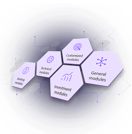 schema modulu